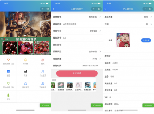 王者荣耀装逼神器助手小程序源码_支持多种流量主模式-汇创资源网-一个提供最全的虚拟资源网站
