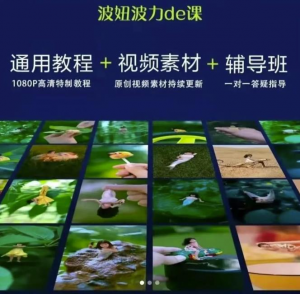 视频制作视频通用教程+视频素材+辅导班|汇创资源网-一个提供最全的虚拟资源网站