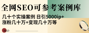 优秀网站SEO实操案例, 日引5000ip+涨粉百W+变现几十W-汇创资源网-一个提供最全的虚拟资源网站