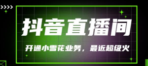 抖音直播间开通小雪花业务（外面收费288）最近超火-汇创资源网-一个提供最全的虚拟资源网站