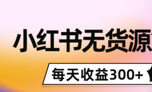 小红书无货源怎么赚钱：0投入起店，无脑图文精细化玩法，每天收益300+-汇创资源网-一个提供最全的虚拟资源网站