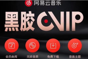 网易云音乐撸黑胶年卡及变现方法【收益可无限放大】-汇创资源网-一个提供最全的虚拟资源网站