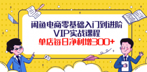 闲鱼电商零基础入门VIP实战课程，单店每日净利增300+（37节课）-汇创资源网-一个提供最全的虚拟资源网站