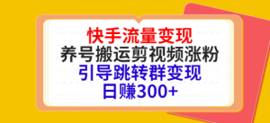 快手流量变现绝密教程，引导跳转群变现日赚300+-汇创资源网-一个提供最全的虚拟资源网站