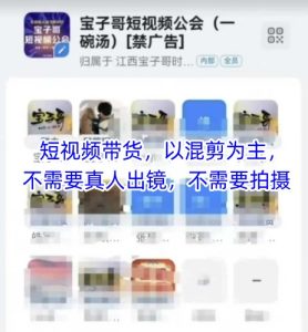 宝子哥头部团队短视频带货 混剪为主 不需要真人出镜拍摄 更新1月-汇创资源网-一个提供最全的虚拟资源网站