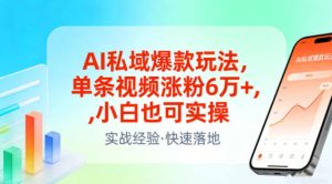 AI私域爆款玩法，单条视频涨粉6W+，小白也可实操-汇创资源网-一个提供最全的虚拟资源网站