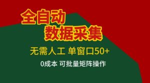全自动数据采集 无需人工 单窗口50+ 0成本可批量矩阵操作【揭秘】-汇创资源网-一个提供最全的虚拟资源网站