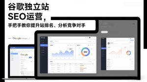 谷歌独立站SEO运营 手把手教你提升网站排名 分析竞争对手 更新26-汇创资源网-一个提供最全的虚拟资源网站