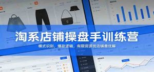 淘系店铺操盘手训练营 模式识别 爆款逻辑 有限资源找店铺最优解-汇创资源网-一个提供最全的虚拟资源网站