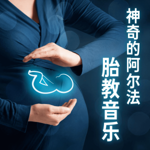 360首阿尔法胎教音乐 MP3格式-花费298在小红书买来的-汇创资源网-一个提供最全的虚拟资源网站