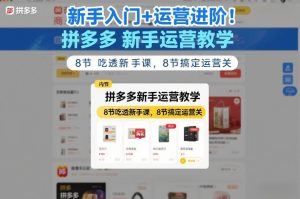 新手入门+运营进阶 拼多多新手运营教学 8节吃透新手课 搞定运营关-汇创资源网-一个提供最全的虚拟资源网站