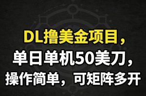 DL撸美金项目，单日单机50美刀，操作简单，可矩阵多开-汇创资源网-一个提供最全的虚拟资源网站