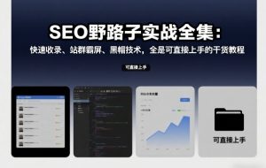 SEO野路子实战全集 快速收录 站群霸屏 黑帽技术 直接上手干货教程-汇创资源网-一个提供最全的虚拟资源网站