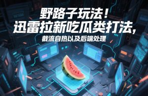 野路子玩法!迅雷拉新吃瓜类打法,截流自热以及后端处理-汇创资源网-一个提供最全的虚拟资源网站