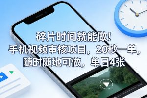碎片时间做 手机视频审核项目 20秒一单 随时随地可做 单日4张+-汇创资源网-一个提供最全的虚拟资源网站