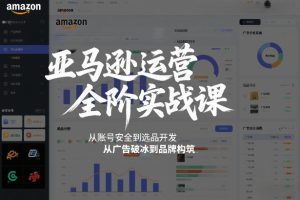亚马逊运营全阶实战课 账号安全到选品开发 广告破冰到品牌构筑|汇创资源网-一个提供最全的虚拟资源网站