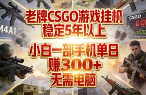 老牌CSGO游戏挂G 稳定5年以上 小白一部手机单日賺3张+ 无需电脑-汇创资源网-一个提供最全的虚拟资源网站