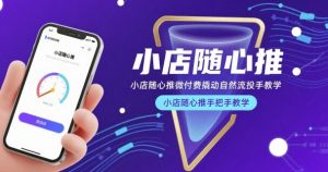 小店随心推微付费撬动自然流投手教学 手把手教学（更新26年）-汇创资源网-一个提供最全的虚拟资源网站