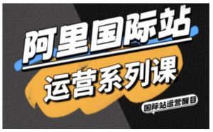 阿里国际站运营 精准引流 直通车与全站推实战SOP 配AI效率工具包|汇创资源网-一个提供最全的虚拟资源网站