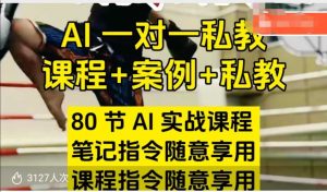 AI指令实战 课程+案例 80节AI实战 笔记指令 课程指令随意享用-汇创资源网-一个提供最全的虚拟资源网站