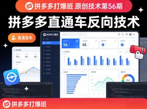《拼多多打爆班》原创技术第56期,拼多多直通车反向技术 - 汇创资源网-一个提供最全的虚拟资源网站|汇创资源网-一个提供最全的虚拟资源网站
