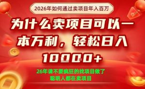 一单净利润1K+，26年想年入100个W，死磕卖项目就够了【揭秘】 - 汇创资源网-一个提供最全的虚拟资源网站|汇创资源网-一个提供最全的虚拟资源网站