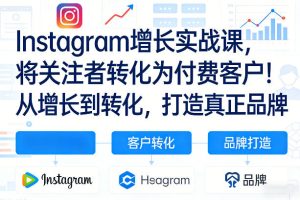 Instagram增长实战 关注者转为付费客户 增长到转化 打造真正品牌|汇创资源网-一个提供最全的虚拟资源网站