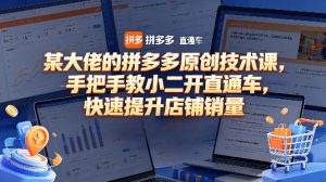 某大佬的拼多多原创技术课 教小二开直通车 快速提升店铺销量-汇创资源网-一个提供最全的虚拟资源网站