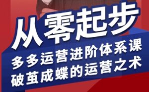 拼多多运营进阶系统课 从零起步 多多运营进阶体系 破茧成蝶的运营-汇创资源网-一个提供最全的虚拟资源网站
