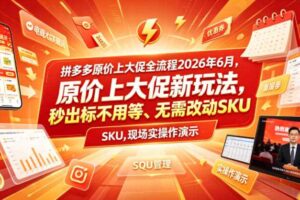 拼多多原价上大促流程 原价上大促新玩法秒出标无需改动SKU 实操-汇创资源网-一个提供最全的虚拟资源网站
