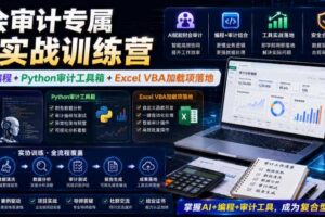 财会审计AI实战 AI协同编程Python审计工具箱Excel VBA加载项落地-汇创资源网-一个提供最全的虚拟资源网站
