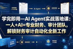 AI Agent实战 一人+AI=财务审计团队 财务审计自动化全新工作模式-汇创资源网-一个提供最全的虚拟资源网站