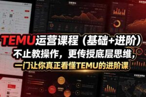 TEMU运营课程 基础+进阶 不止教操作 更传授底层思维 TEMU进阶课|汇创资源网-一个提供最全的虚拟资源网站